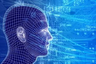 199it 發現互聯網數據的價值